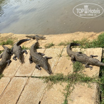 фото из отзыва ID 2726624