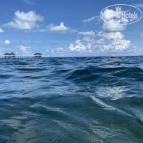 фото из отзыва ID 2726624