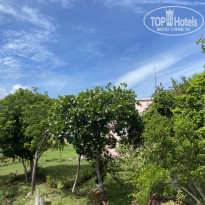 фото из отзыва ID 2726624