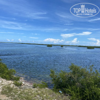 фото из отзыва ID 2726624