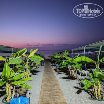 фото из отзыва ID 2726621