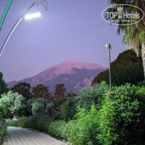 фото из отзыва ID 2726621