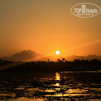 фото из отзыва ID 2726629