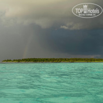 фото из отзыва ID 2726632