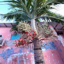 фото из отзыва ID 2726632