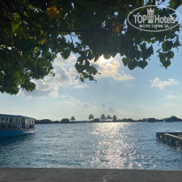 фото из отзыва ID 2726632