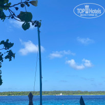 фото из отзыва ID 2726632