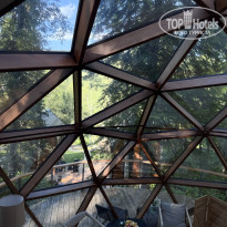 фото из отзыва ID 2726636