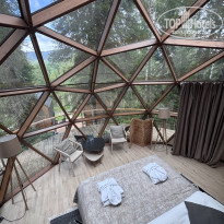 фото из отзыва ID 2726636