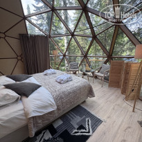 фото из отзыва ID 2726636