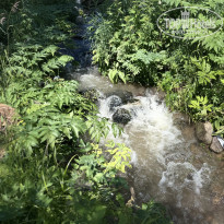 фото из отзыва ID 2726636