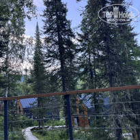 фото из отзыва ID 2726636