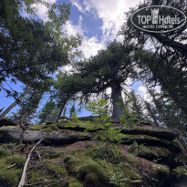 фото из отзыва ID 2726636