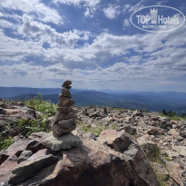 фото из отзыва ID 2726636