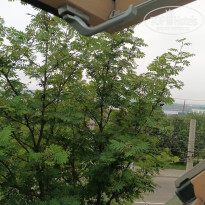 фото из отзыва ID 2726657