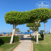 фото из отзыва ID 2726656