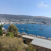 фото из отзыва ID 2726665