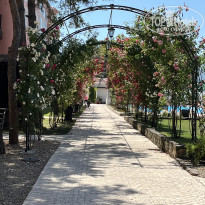 фото из отзыва ID 2726672