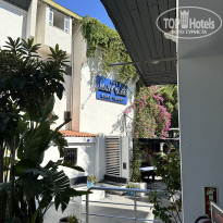 фото из отзыва ID 2726683