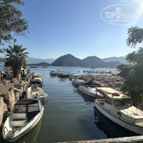 фото из отзыва ID 2726683