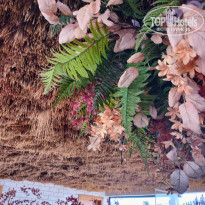 фото из отзыва ID 2726677