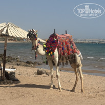 фото из отзыва ID 2726738