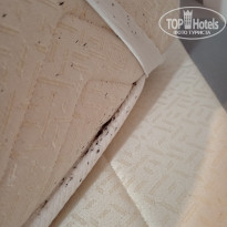 фото из отзыва ID 2726740