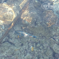 фото из отзыва ID 2725725