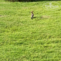 фото из отзыва ID 2725725