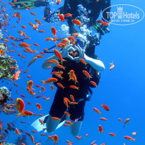 фото из отзыва ID 2725725