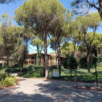 фото из отзыва ID 2726750