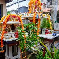 фото из отзыва ID 2726752