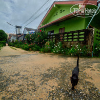 фото из отзыва ID 2726752