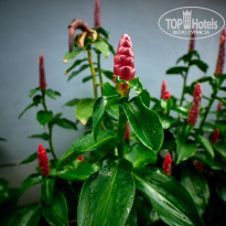 фото из отзыва ID 2726752