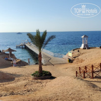 фото из отзыва ID 2726759