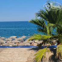 фото из отзыва ID 2726772