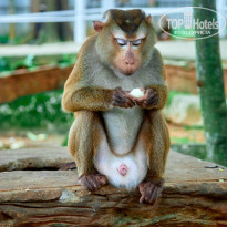 фото из отзыва ID 2726752