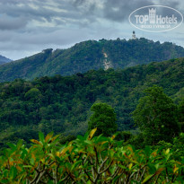 фото из отзыва ID 2726752