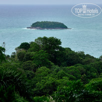 фото из отзыва ID 2726752