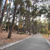 фото из отзыва ID 2726769