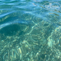 фото из отзыва ID 2726769