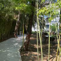 фото из отзыва ID 2726769