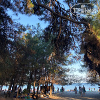 фото из отзыва ID 2726769