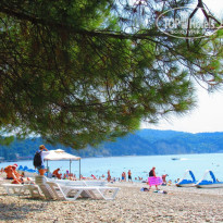 фото из отзыва ID 2726769