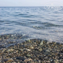 фото из отзыва ID 2726769