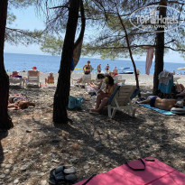 фото из отзыва ID 2726769