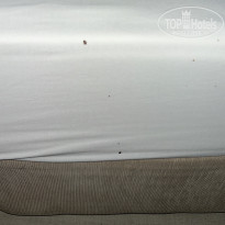 фото из отзыва ID 2726778