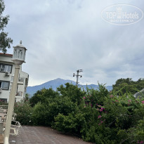 фото из отзыва ID 2726778