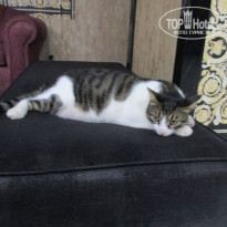 фото из отзыва ID 2726791