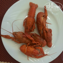 фото из отзыва ID 2726798